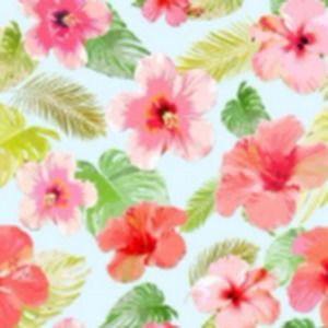 Meet your Posher, Myla